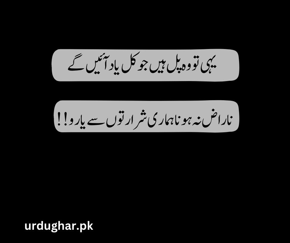 Best friend funny poetry in urdu