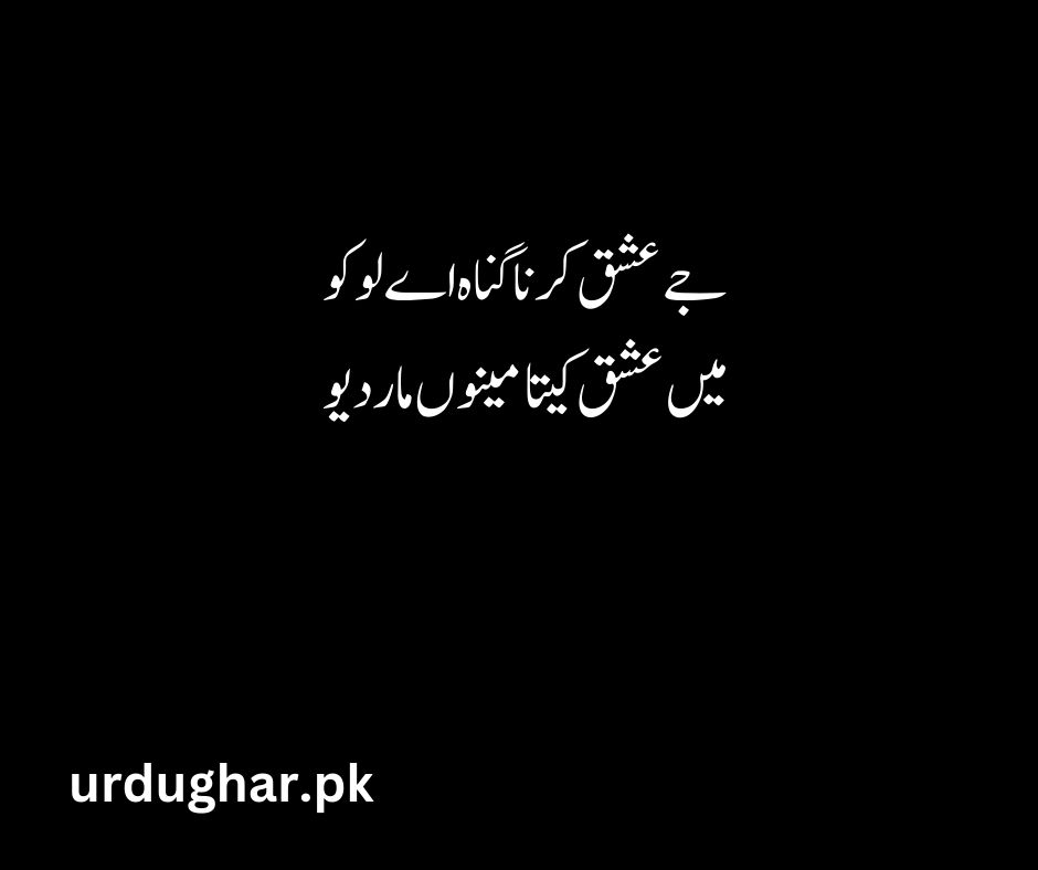heart touching sad bulleh shah poetry