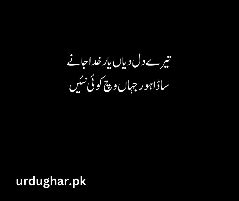 bulleh shah famous poetry