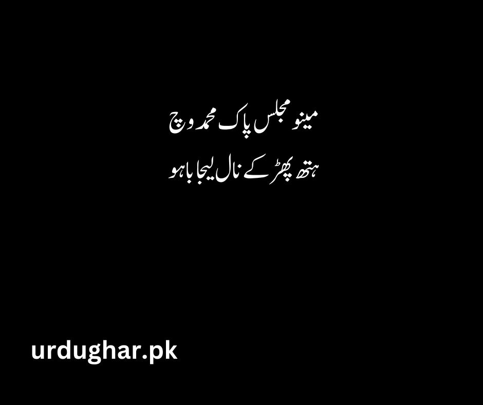 best bulleh shah words in urdu
