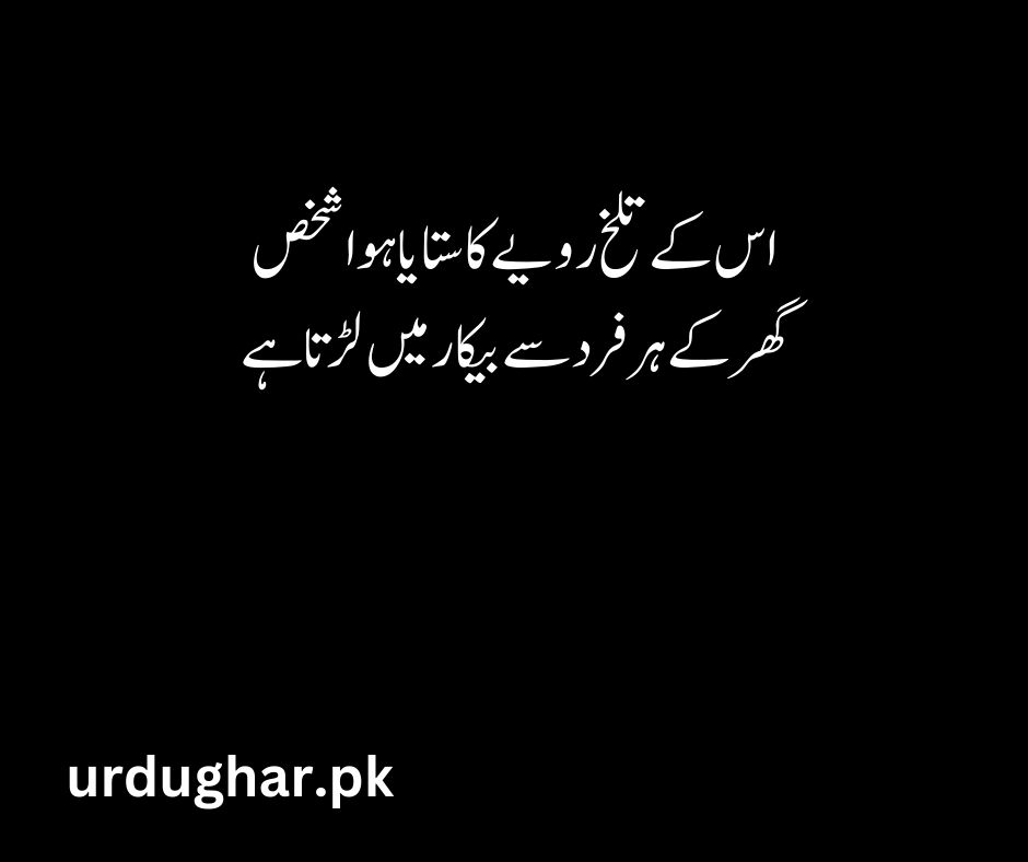 heart broken quotes in urdu text
