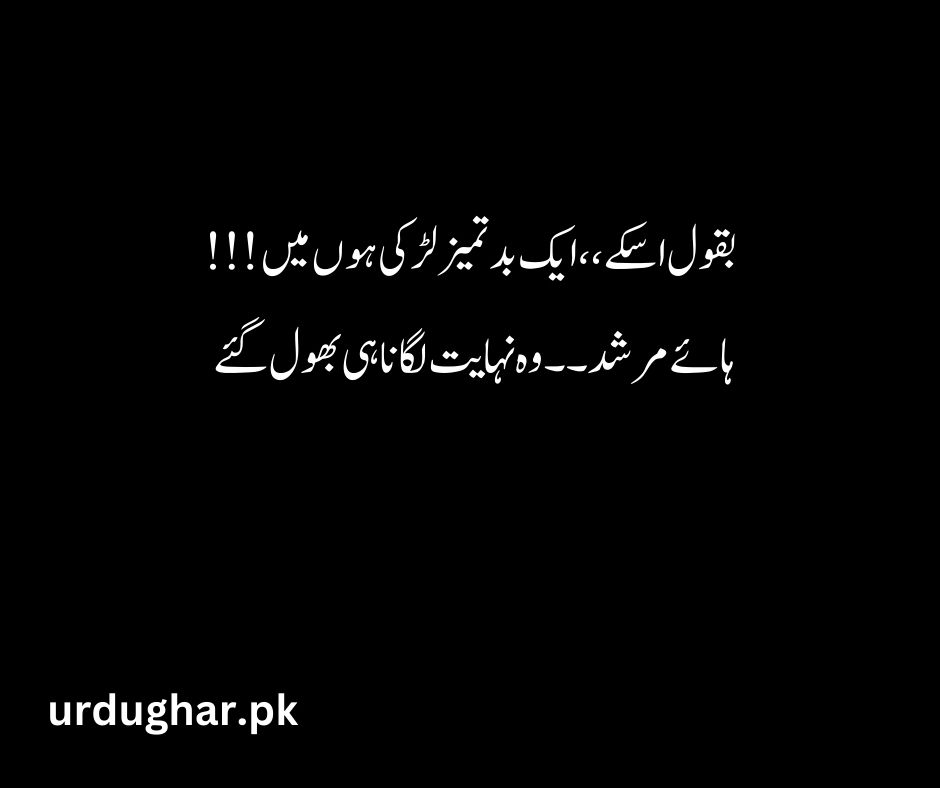 funny poetry for girl in urdu