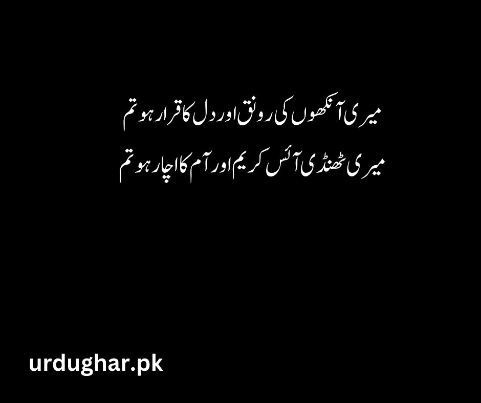 funny romantic poetry in urdu