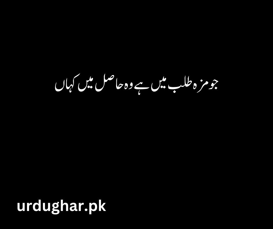 short aesthetic quotes in urdu