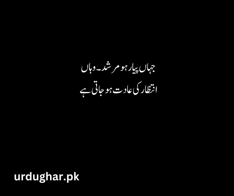 romantic quotes in urdu