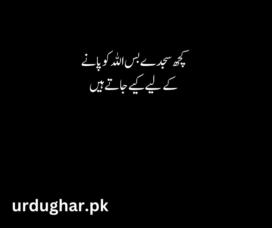 islamic heart touching quotes in urdu text