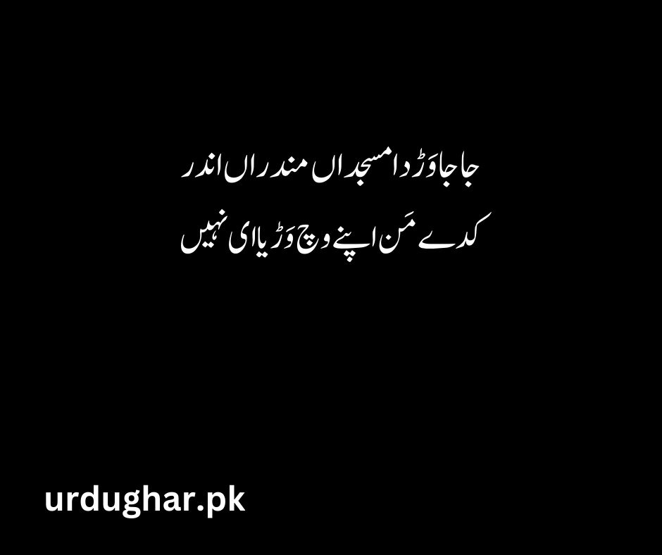 bulleh shah poetry in urdu text