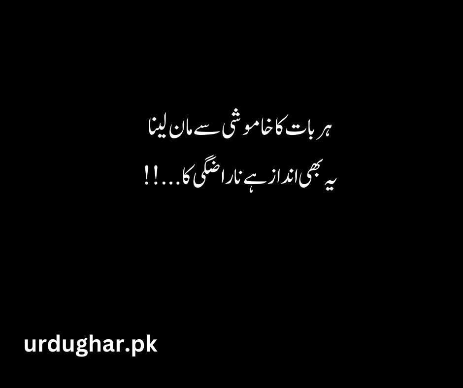 sad heart touching quotes in urdu
