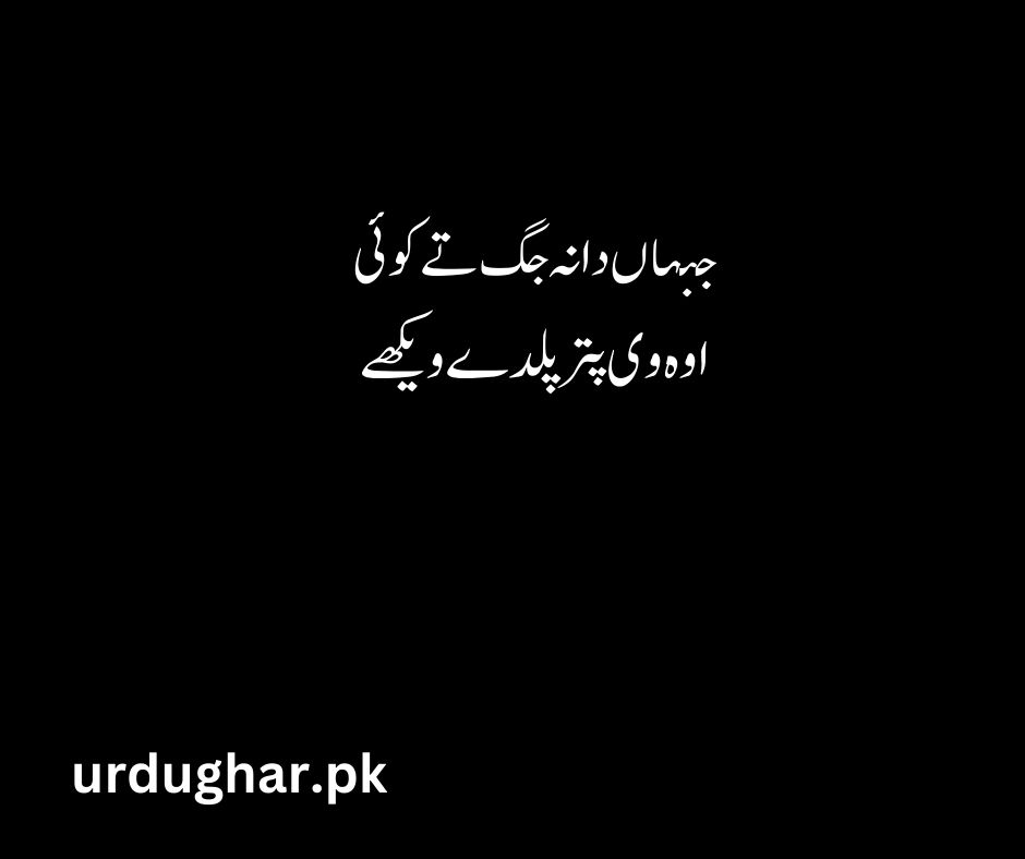 bulleh shah most famous poetry