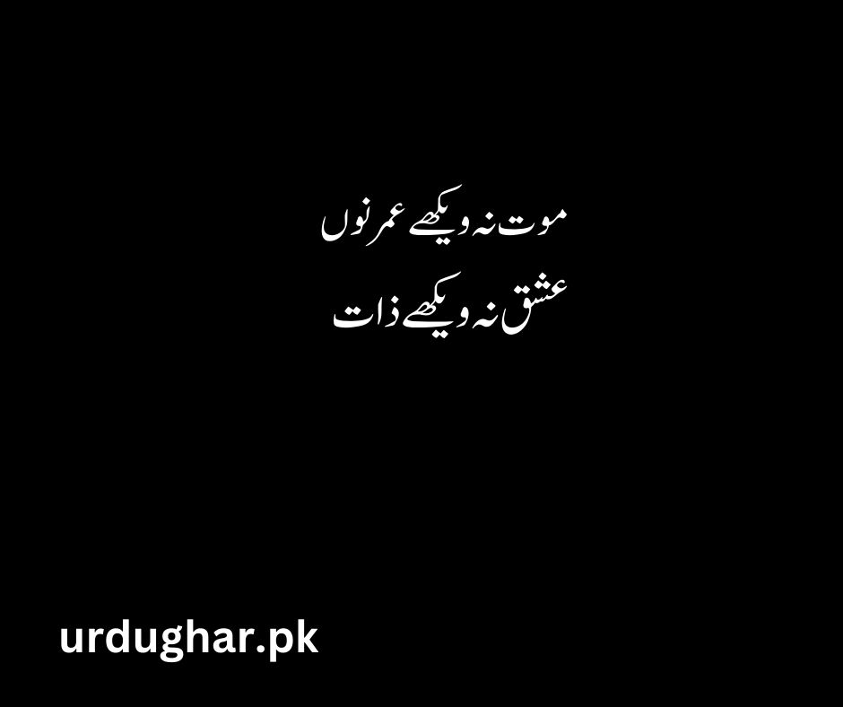 bulleh shah poetry on ishq