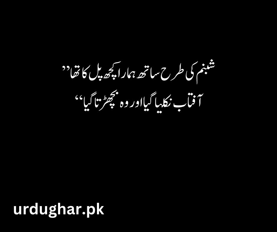alvida poetry in urdu text