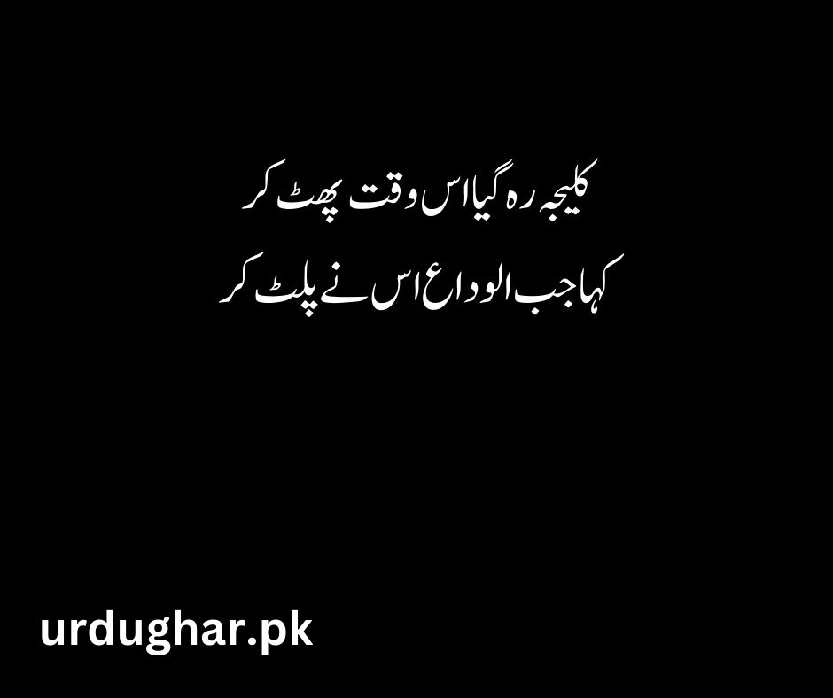 very sad alvida poetry alvida in urdu text